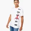 Футболка мужская Air Jordan Hbr Vertical Tee White BV0086-100