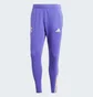 Штаны мужские Adidas Real Madrid Tiro 23 Training Tracksuit Bottoms Violet IQ0542