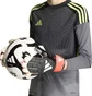 Перчатки вратарские мужские Adidas Predator Gl Trn Black/White KR0472