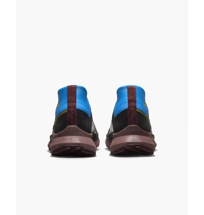 Кросівки жіночі Nike Pegasus Trail 4 Gore-Tex Waterproof Trail Running Shoes Black DJ7929-003