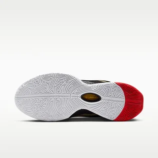 Кросівки чоловічі Nike Lebron 21 Prime 93 White/Black HQ3480-001