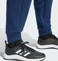 Штаны женские Adidas Poland Future Icons Blue JF9047