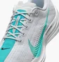 Кросівки чоловічі Nike Pegasus Plus Grey FQ7262-004