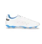 Бутсы унисекс Puma King Match Fg/Ag White 107257-01