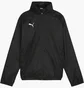 Олимпийка детская Puma Teamgoal Jas Voor Alle Weersomstandigheden Wit Black 659045-03