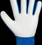 Рукавиці воротарські дитячі Reusch Attrakt Starter Solid Junior Blue 5572514-4467