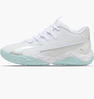 Кроссовки мужские Puma Dagger 2 White 312748-06