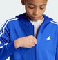 Кофта детская Adidas Train Essentials Aeroready 3-Stripes Regular-Fit Full-Zip Blue IP2418