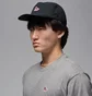 Кепка унисекс Air Jordan U J Pro Cap S Fb Br Snkr Ptch Black HV1169-010
