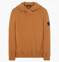 Худи мужское Stone Island 23Ss Stone Island Shadow Brown 781960219-V0071