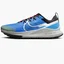 Кросівки чоловічі Nike Pegasus Trail 4 Light Blue DJ6158-401