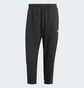Штаны мужские Adidas Scribble Black IJ6444