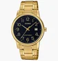 Часы мужские Casio Classic MTP-V002G-1BUDF