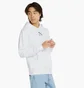 Худи мужское Puma Brand Love Multiple White 533658-02