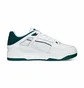 Кросівки унісекс Puma Slipstream White 388549-03