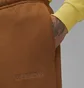 Шорти чоловічі Air Jordan Air Wordmark Brown FJ0700-281