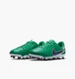 Бутсы детские Nike Legend 10 Academy Fg/Mg Lv8 Green HJ7190-300
