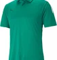 Олимпийка мужская Puma Shirt Teamliga Sideline Polo Green 657257-05