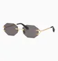 Солнцезащитные очки Roberto Cavalli Grey/Gold SRC005-0300-59-19