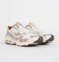 Кроссовки мужские Mizuno Wave Rider 10 Og Metallic D1GA243102