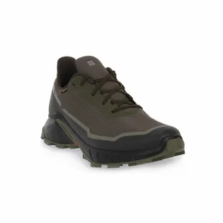 Кросівки чоловічі Salomon Alphacross 5 Gtx Olive 473103