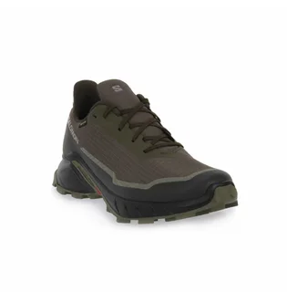 Кроссовки мужские Salomon Alphacross 5 Gtx Olive 473103