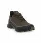 Кросівки чоловічі Salomon Alphacross 5 Gtx Olive 473103