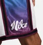 Шорты мужские Nike Dri-Fit White DH7144-100