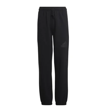 Штаны детские Adidas Future Icons Logo Pants Black HR6286