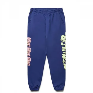 Штаны мужские Brain Dead Worm Hole Sweatpant Blue BDW22B00002582NY01
