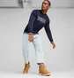 Ботинки унисекс Puma Desierto V3 Puretex Brown 393928-02