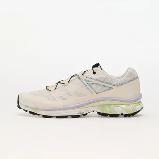 Кроссовки мужские Salomon Xt-6 Mindful Beige L47467000
