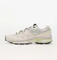 Кроссовки мужские Salomon Xt-6 Mindful Beige L47467000