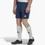 Шорты мужские Adidas Entrada 22 Shorts Blue H57506