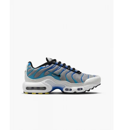 Кросівки дитячі Nike Air Max Plus Grey CD0609-019
