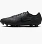 Бутсы унисекс Nike Legend 10 Elite Fg Black DV4328-002