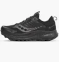 Кросівки чоловічі Saucony Ride Tr2 Gtx Black S20953-14