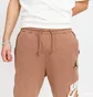 Штаны мужские Air Jordan M J JMPMN FLC PANT DC9608-256