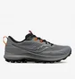 Кросівки чоловічі Saucony Peregrine 13 Gtx Grey S20841-05
