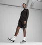 Шорти чоловічі Puma Ess 2 Color No. 1 Logo Shorts 10 Terry Black 684715-51