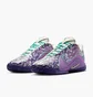 Кроссовки мужские Nike Lebron Xxii Violet HV8454-001