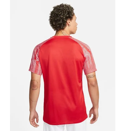 Футболка мужская Nike Dri-Fit Academy Red DH8031-657