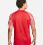 Футболка мужская Nike Dri-Fit Academy Red DH8031-657