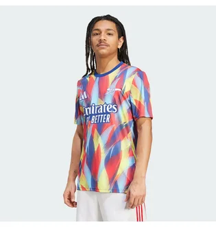 Футболка мужская Adidas Arsenal 25/26 Pre-Match Multi JJ1797