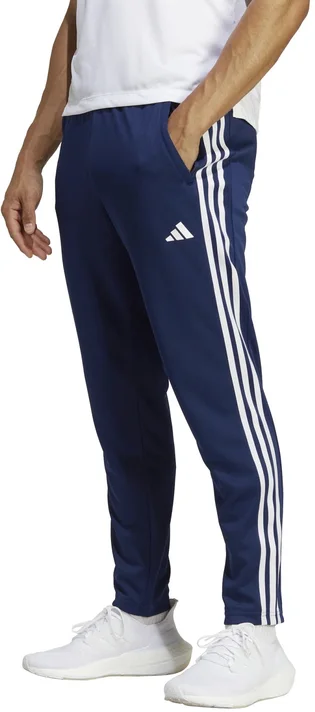 Штаны мужские Adidas Pants Tr-Es Base 3Pt Blue IB8169