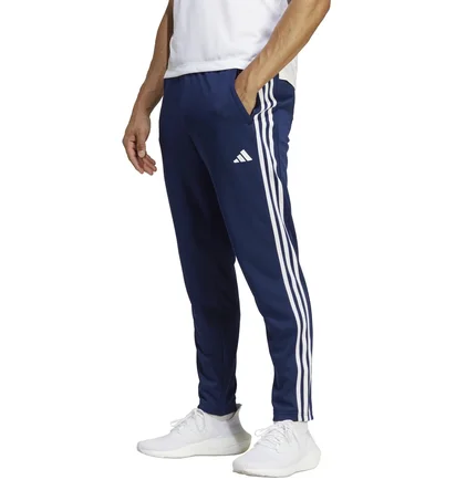 Штаны мужские Adidas Pants Tr-Es Base 3Pt Blue IB8169