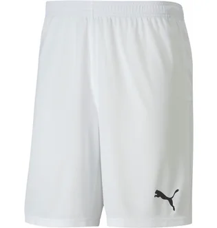 Шорты мужские Puma Teamgoal 23 Knit Shorts White 704262-04