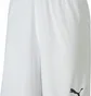 Шорти чоловічі Puma Teamgoal 23 Knit Shorts White 704262-04