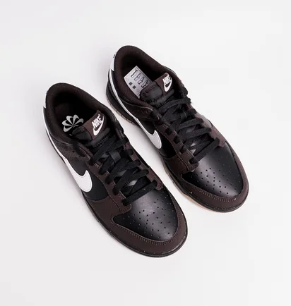 Кросівки жіночі Nike Dunk Low Next Nature Brown/Black HF9984-001