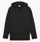 Толстовка мужская Puma Evostripe Core Fz Hoodie Black 631529-01